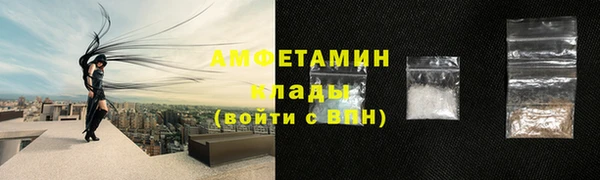 сатива Няндома