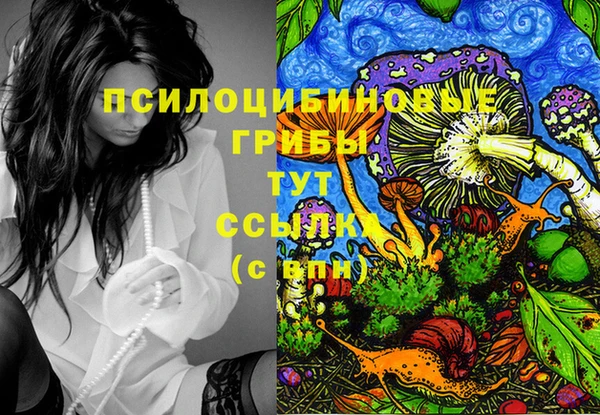 сатива Няндома