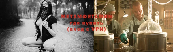 прущие грибы Билибино