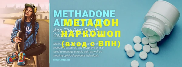 сатива Няндома