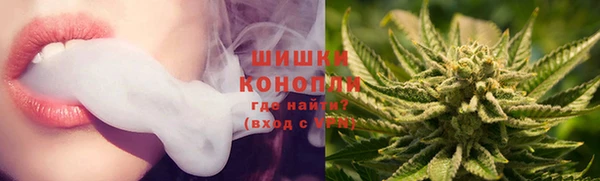 молекула духа Нягань