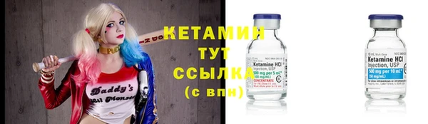 сатива Няндома