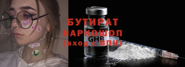 сатива Няндома