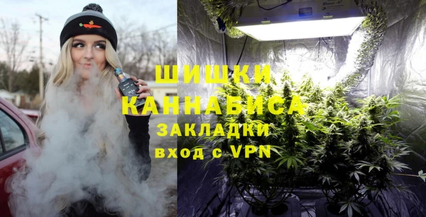 молекула духа Нягань