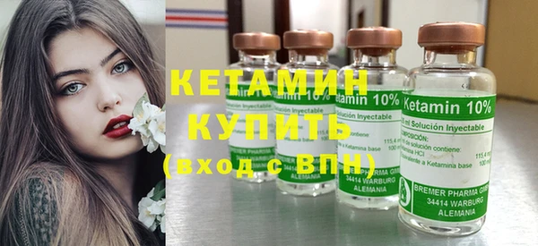 сатива Няндома