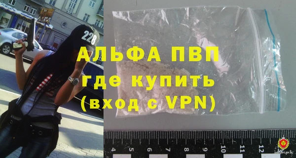 сатива Няндома